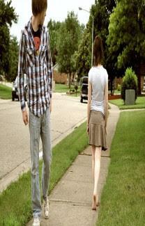 शीर्षक - डोर