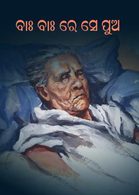 ବାଃ ବାଃ ରେ ସେ ପୁଅ