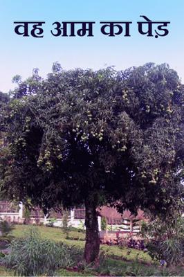 वह आम का पेड़