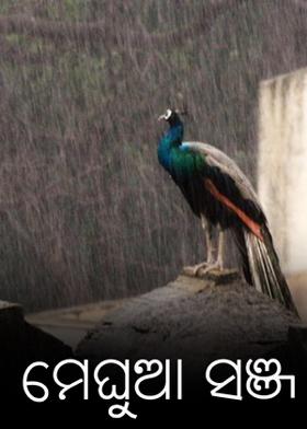 ମେଘୁଆ ସଞ୍ଜ