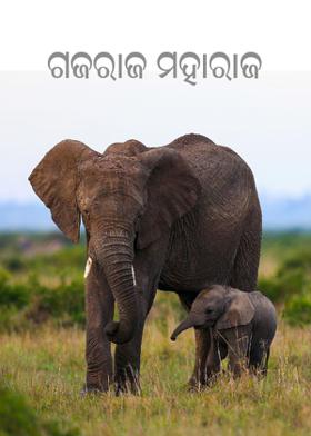 ଗଜରାଜ ମହାରାଜ