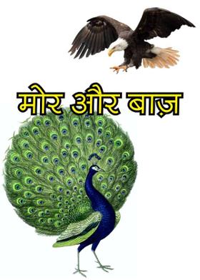 मोर और बाज़