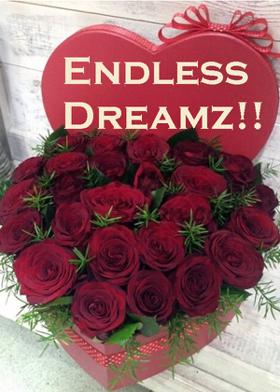 Endless Dreamz!!