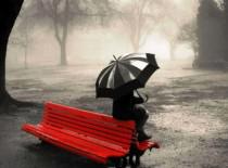 बारिश की एक शाम