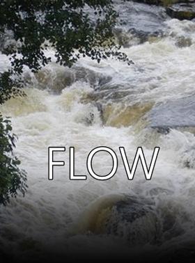 Flow