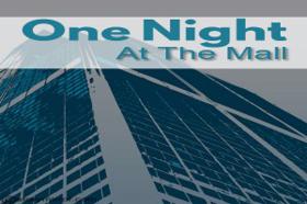 One Night At The Mall