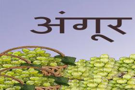 अंगूर 