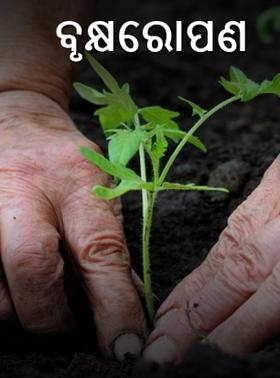 ବୃକ୍ଷରୋପଣ