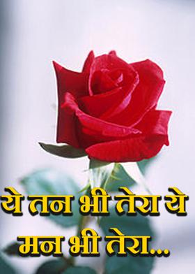 ये तन भी तेरा ये मन भी तेरा...