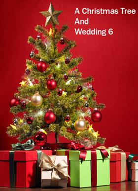 A Christmas Tree And Wedding 6