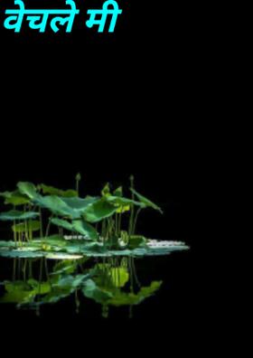 वेचले मी