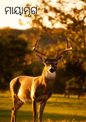 ମାୟାମୃଗ