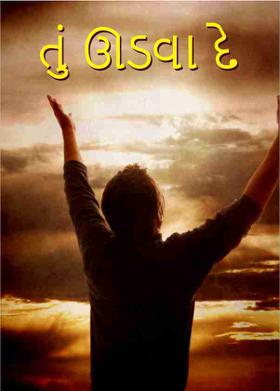 તું ઊડવા દે