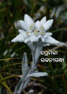 ପ୍ରେମିକା ରଜନୀଗନ୍ଧା