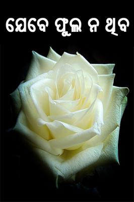 ଯେବେ ଫୁଲ ନ ଥିବ