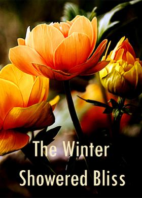 The Winter Showered Bliss