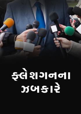 ફ્લેશગનના ઝબકારે