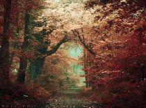 The Changing Of The Seasons