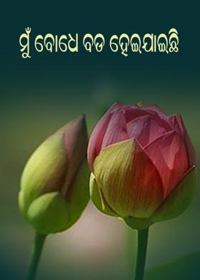 ମୁଁ ବୋଧେ ବଡ଼ ହେଇଯାଇଛି
