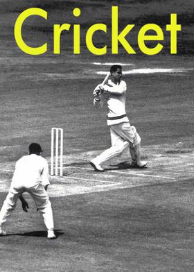 Cricket