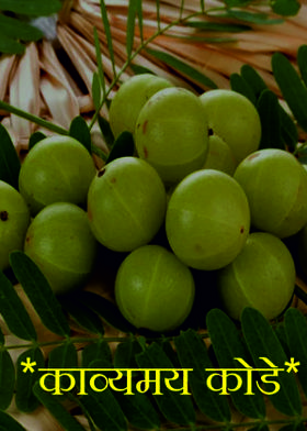 *काव्यमय कोडे*