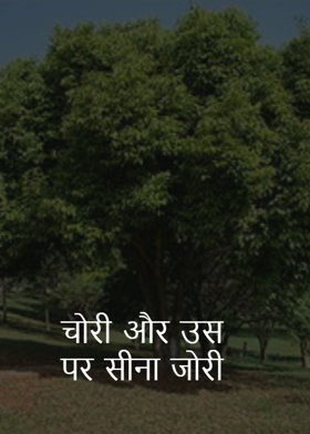 चोरी और उस पर सीना जोरी