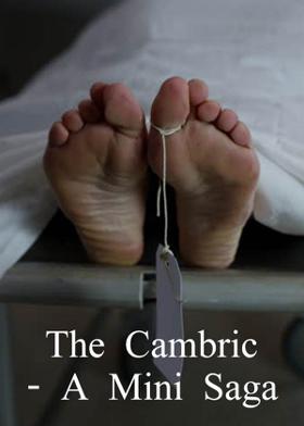 The Cambric - A Mini Saga