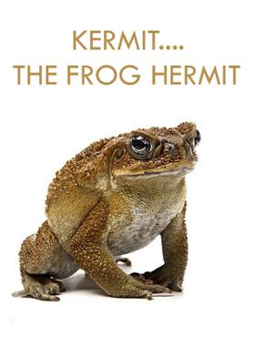 KERMIT....THE FROG HERMIT