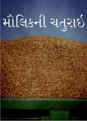 મૌલિકની ચતુરાઇ