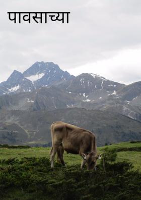 पावसाच्या सरी