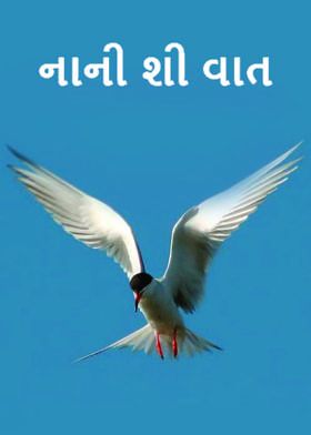 નાની શી વાત