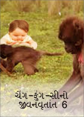 ચેંગ-ફુંગ-સીનો જીવનવૃતાંત.6