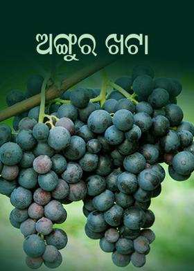 ଅଙ୍ଗୁର ଖଟା