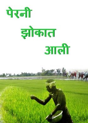 पेरनी झोकात आली