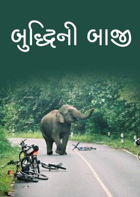 બુદ્ધિની બાજી