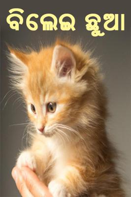 ବିଲେଇ ଛୁଆ