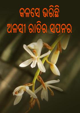 କଳସେ ଭରିଛି ଅଳସୀ ରାତିର ସପନର