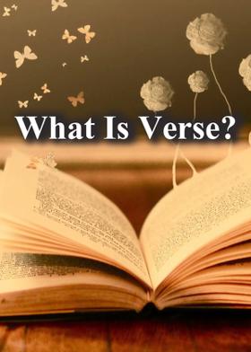 What Is Verse?