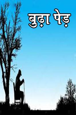 बुढ़ा पेड़