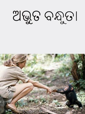 ଅଦ୍ଭୁତ ବନ୍ଧୁତା