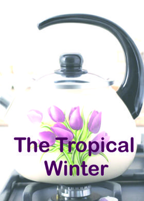 The Tropical Winter