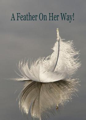 A Feather On Her Way!