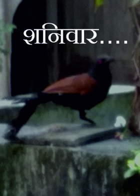 शनिवार....