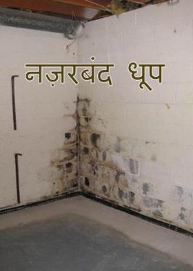 नज़रबंद धूप