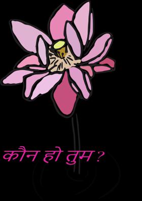 कौन हो तुम ?