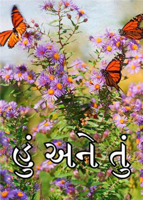 હું અને તું