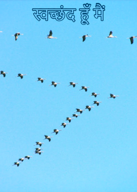 स्वच्छंद हूँ मैं