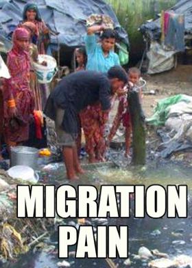MIGRATION PAIN