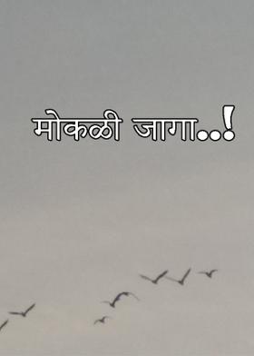 मोकळी जागा..!