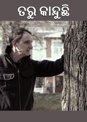 ତରୁ କାନ୍ଦୁଛି